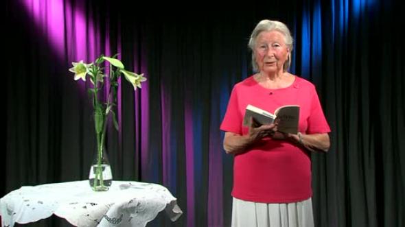 Vorschaubild des Beitrags