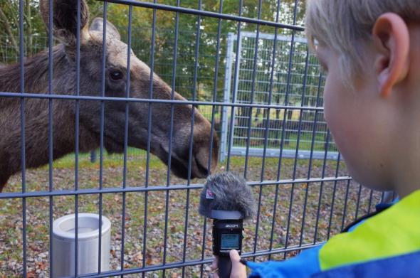 Vorschaubild des Beitrags