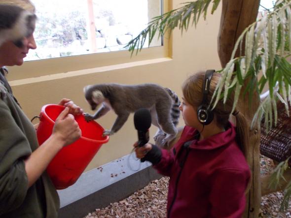 Vorschaubild des Beitrags