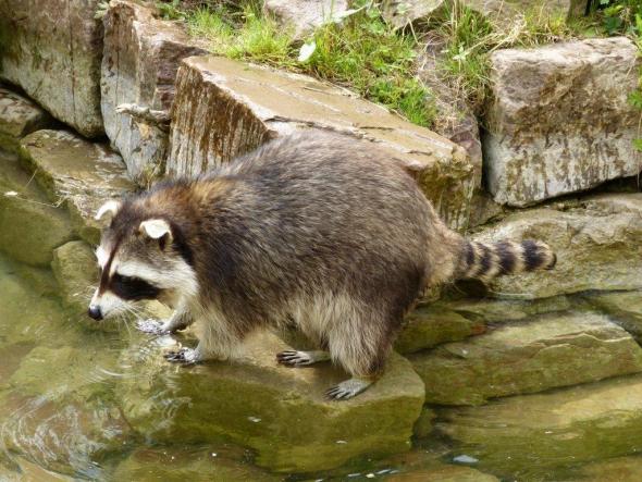 Vorschaubild des Beitrags