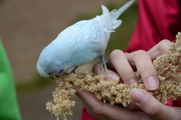 Vorschaubild des Beitrags