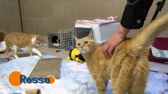 Vorschaubild des Beitrags