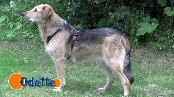 Vorschaubild des Beitrags