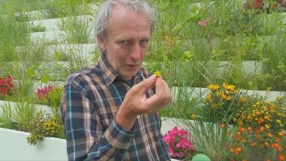 Vorschaubild des Beitrags