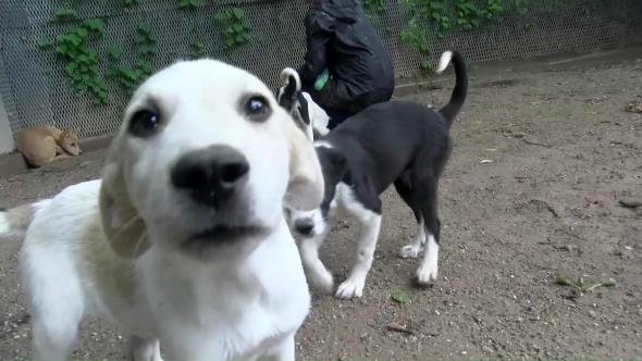 Vorschaubild des Beitrags