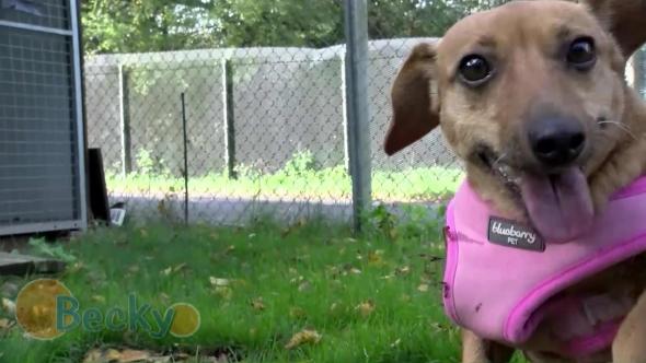 Vorschaubild des Beitrags