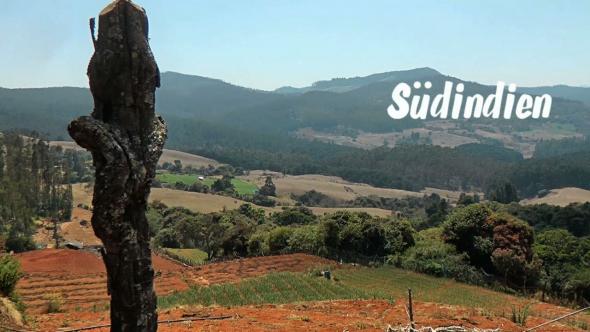 Vorschaubild des Beitrags