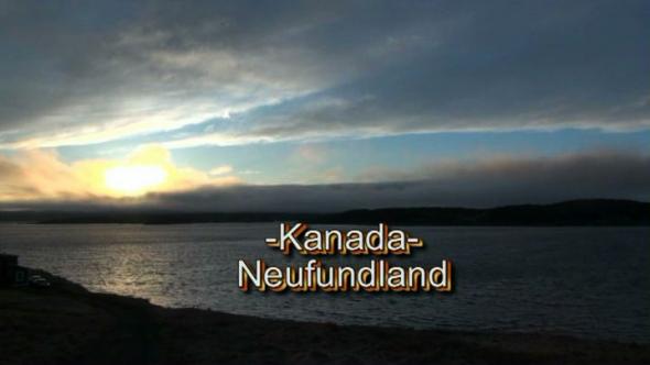 Vorschaubild des Beitrags