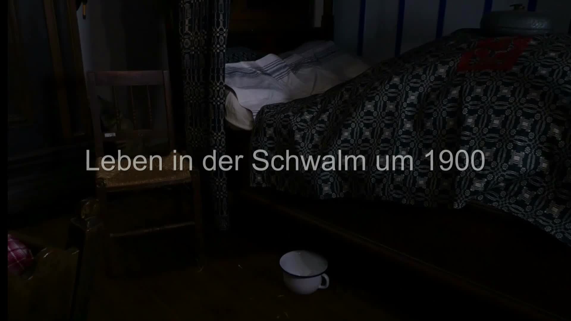 Vorschaubild des Beitrags