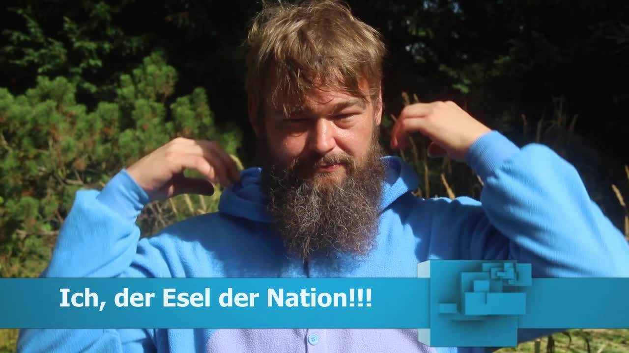 Vorschaubild des Beitrags