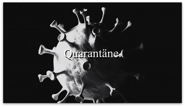 Vorschaubild des Beitrags