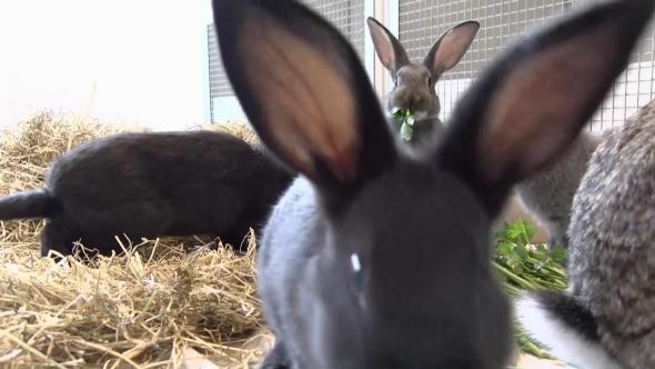 Vorschaubild des Beitrags