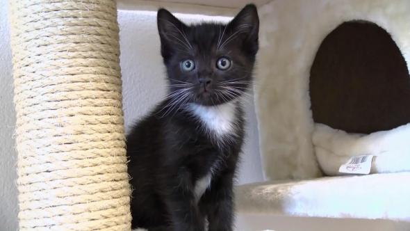 Vorschaubild des Beitrags