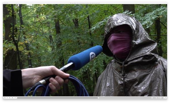 Vorschaubild des Beitrags