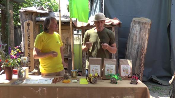 Vorschaubild des Beitrags