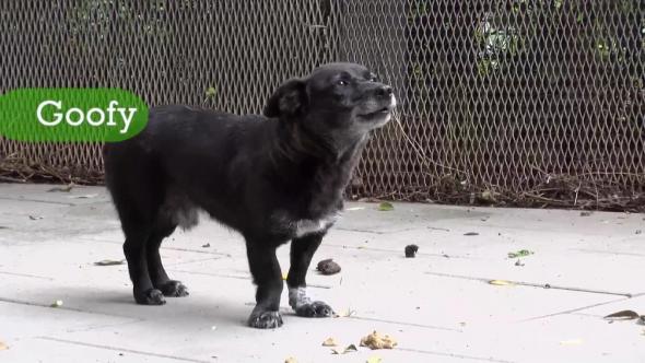 Vorschaubild des Beitrags