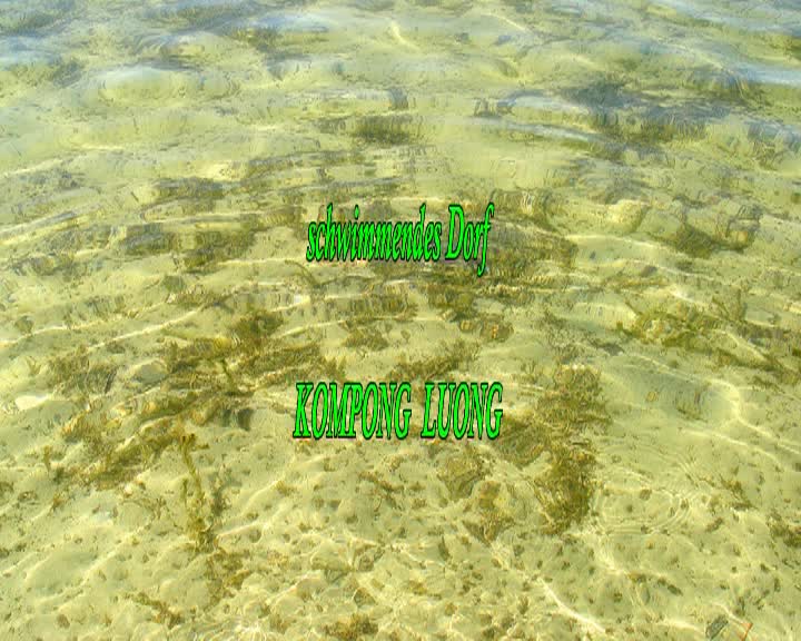 Vorschaubild des Beitrags