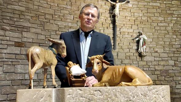 Vorschaubild des Beitrags