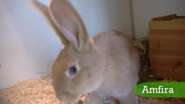 Vorschaubild des Beitrags