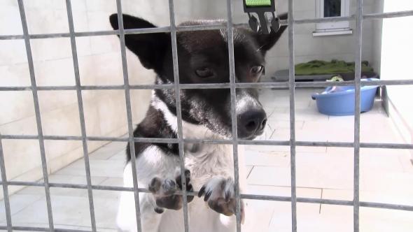 Vorschaubild des Beitrags