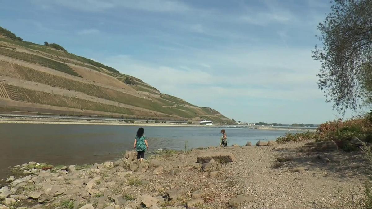 Vorschaubild des Beitrags