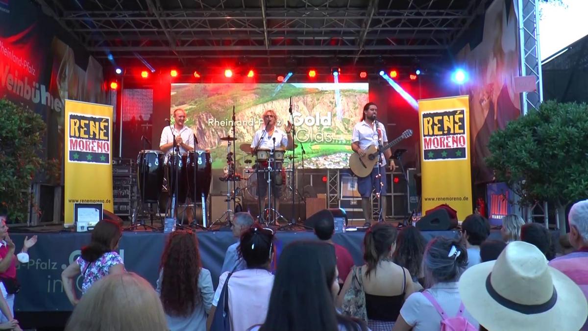 Vorschaubild des Beitrags