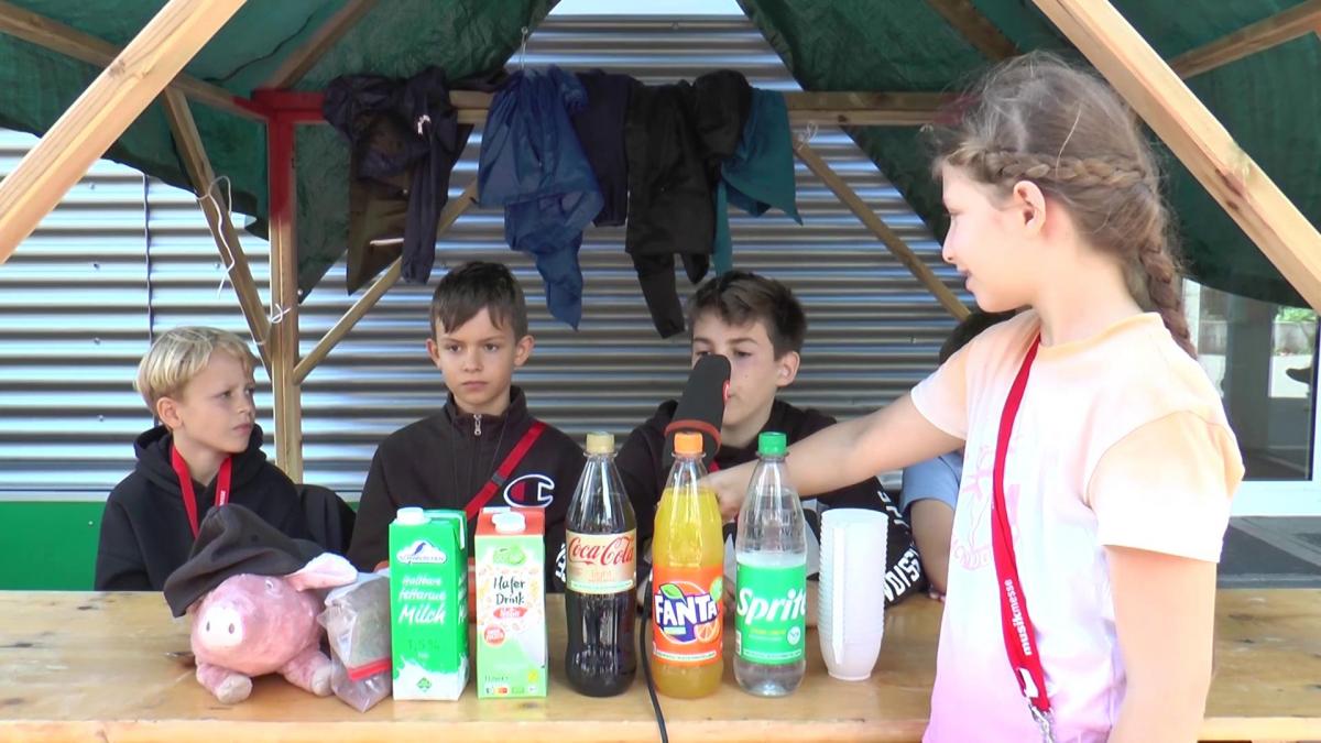 Vorschaubild des Beitrags