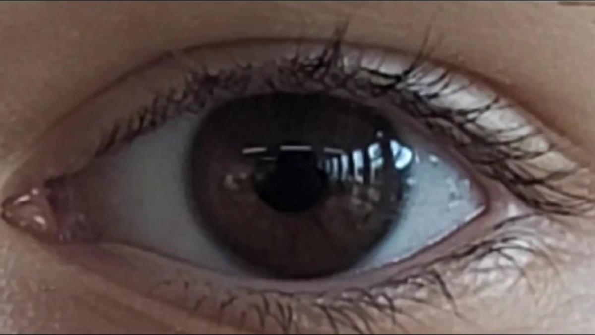 Vorschaubild des Beitrags