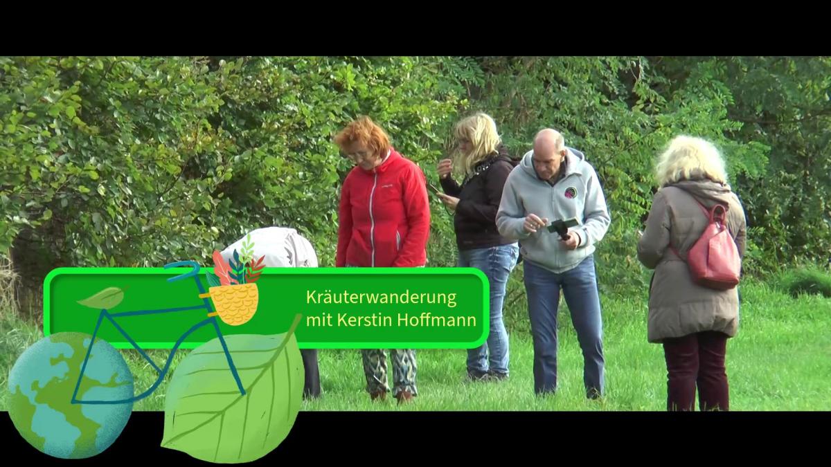 Vorschaubild des Beitrags