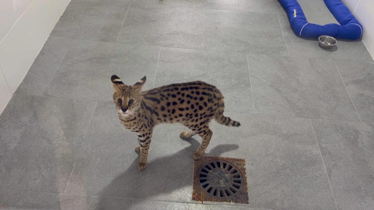 Vorschaubild des Beitrags