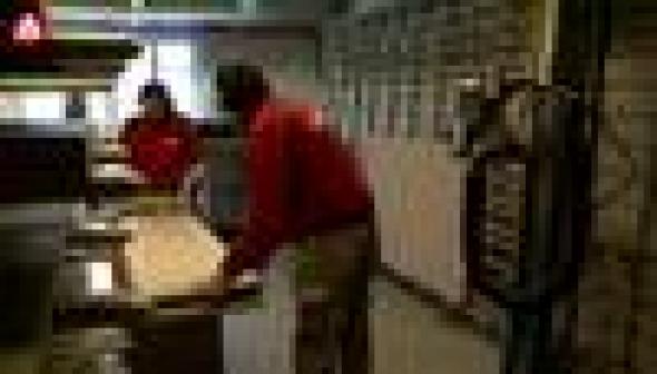 Vorschaubild des Beitrags