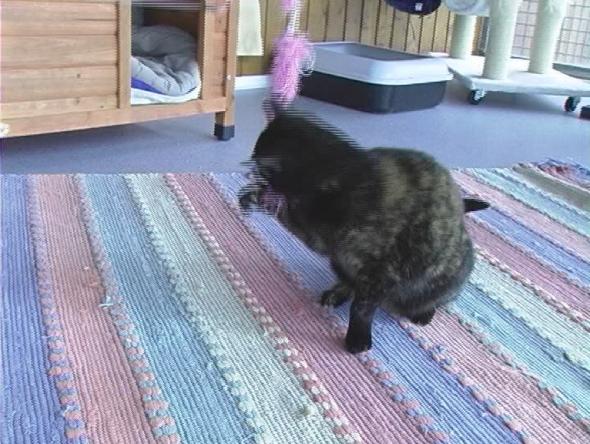 Vorschaubild des Beitrags