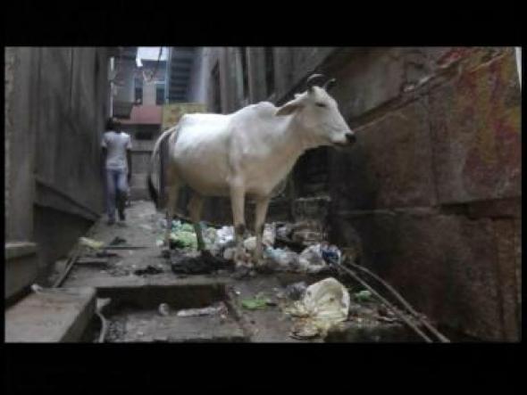 Vorschaubild des Beitrags