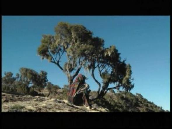 Vorschaubild des Beitrags