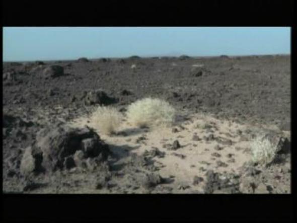 Vorschaubild des Beitrags