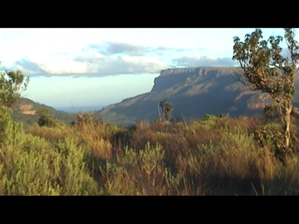 Vorschaubild des Beitrags