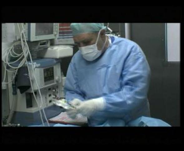 Vorschaubild des Beitrags