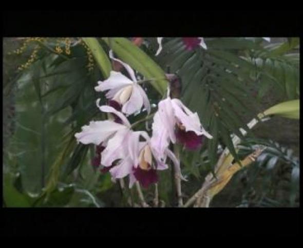 Vorschaubild des Beitrags