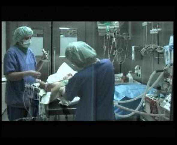 Vorschaubild des Beitrags