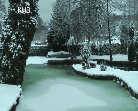 Vorschaubild des Beitrags