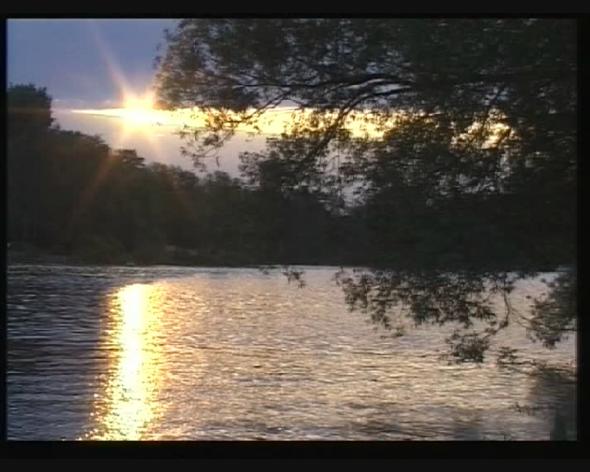 Vorschaubild des Beitrags