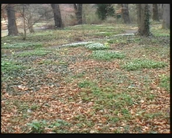 Mediathek Hessen Impessionen Aus Dem Botanischen Garten In